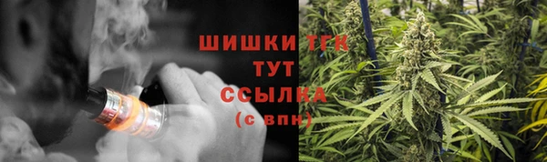 ешки Белокуриха