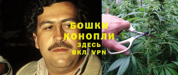 первитин Белоозёрский