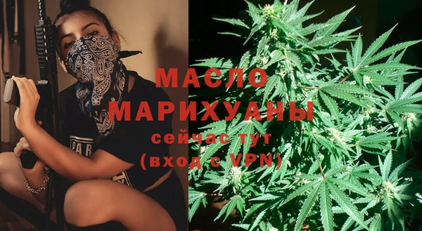 мдпв Дмитров